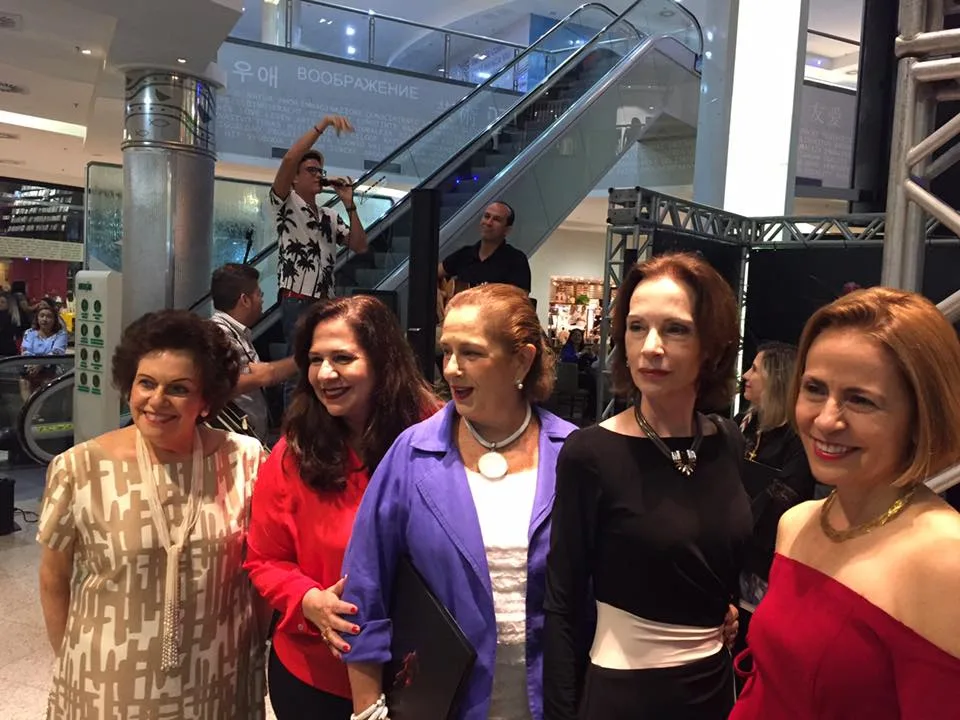 O lançamento do projeto Under the Skin