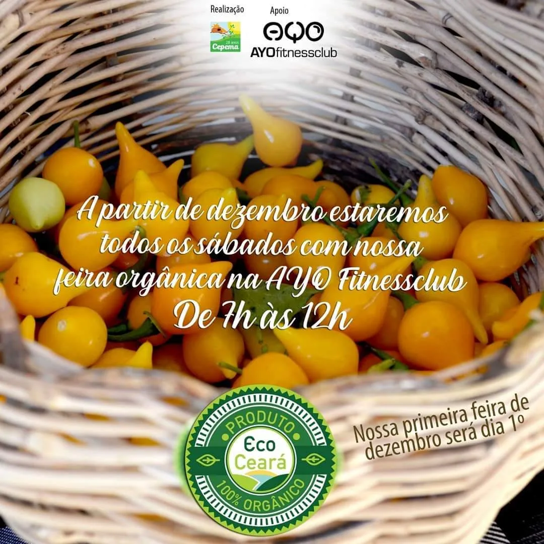 Feira Orgânica da Ayo Fitness Club