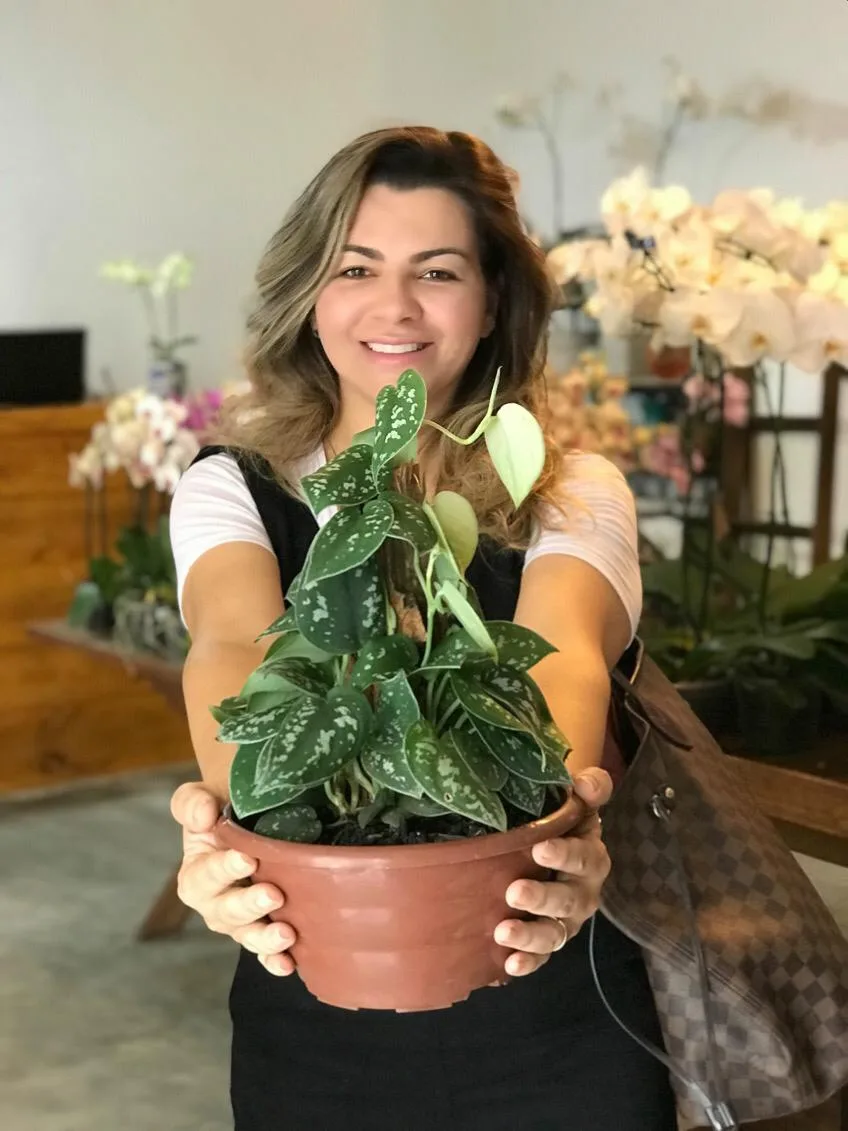Casa de Flor: novidade em Fortaleza
