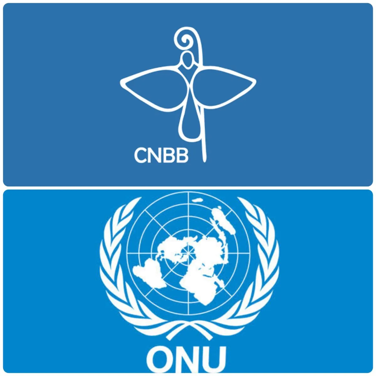 CNBB, com apoio da ONU, faz homenagem às vítimas da Covid-19