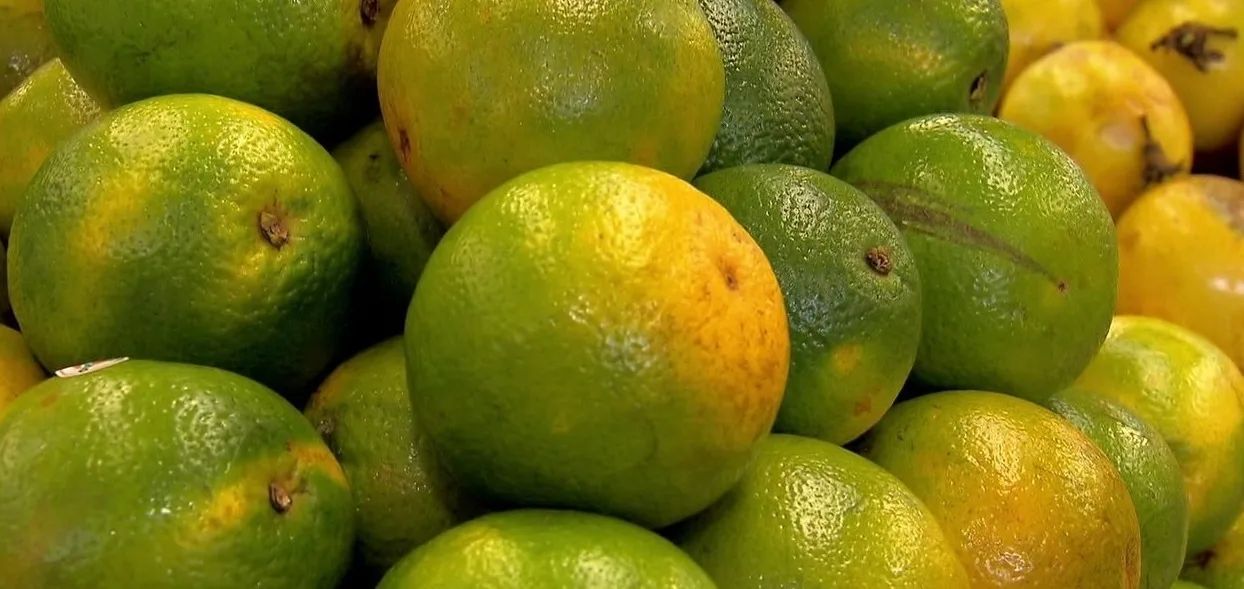 Variação de preço da laranja em Fortaleza é de 150%