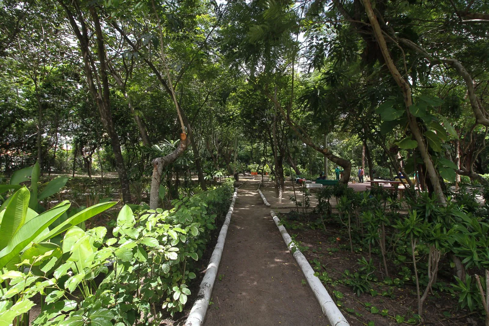 Parque Ecológico do Passaré será urbanizado