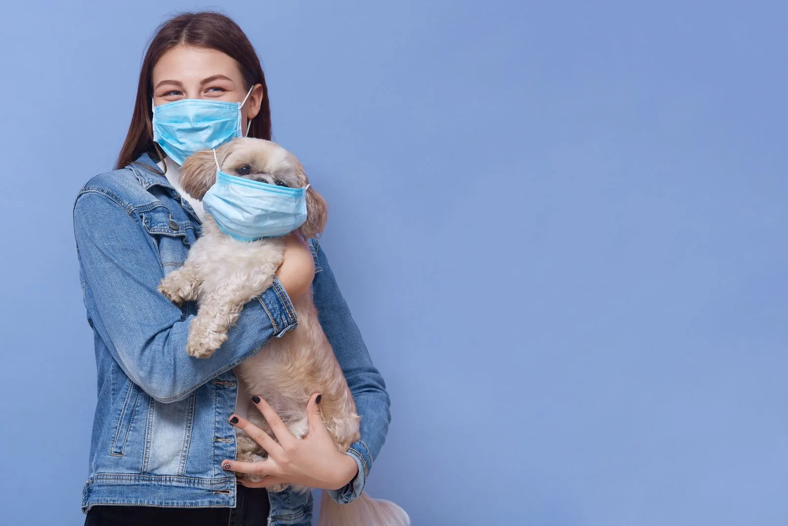 Volta à vida presencial pode causar estresse em pets. Veja dicas para facilitar retorno para animal