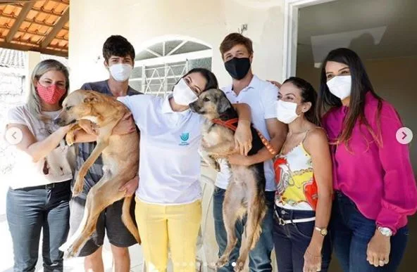 Michelle pede sanção para punição a maus-tratos a animais, mas Bolsonaro propõe enquete