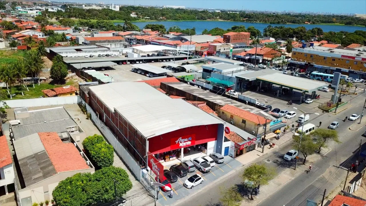 Com Thayse Teixeira, Arca Mania inaugura nova unidade em Fortaleza neste sábado