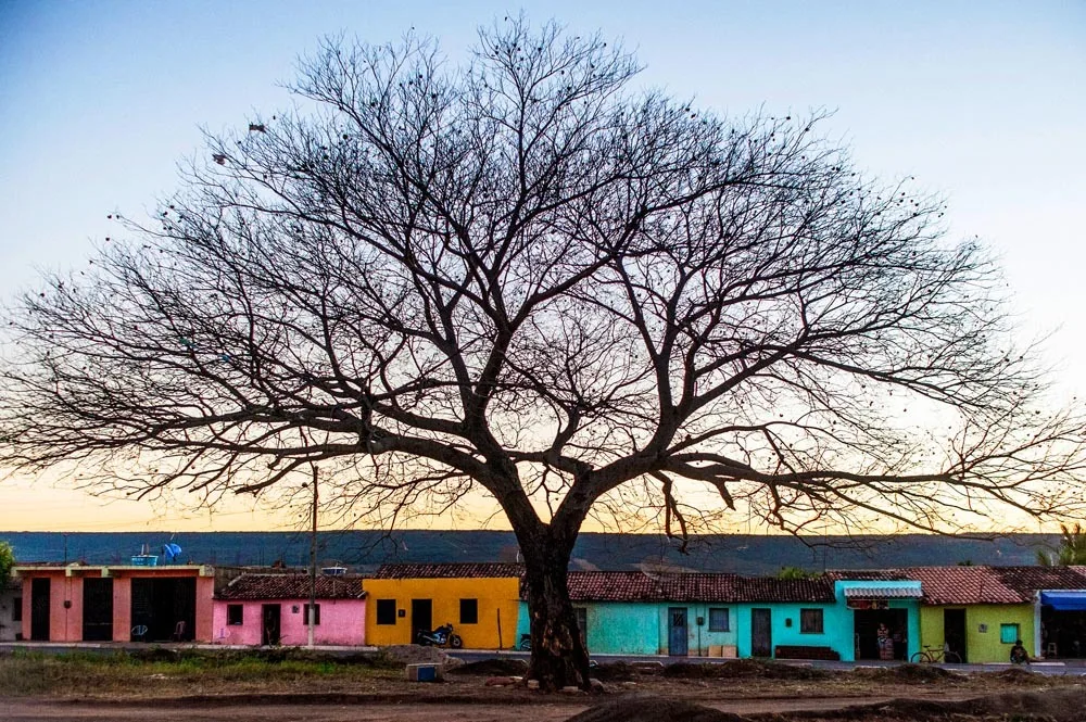 Plataforma de viagem lança pacotes de rotas criativas pelo Ceará