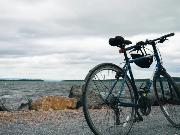 Venda de bicicletas cresce em meio à pandemia e cria oportunidades