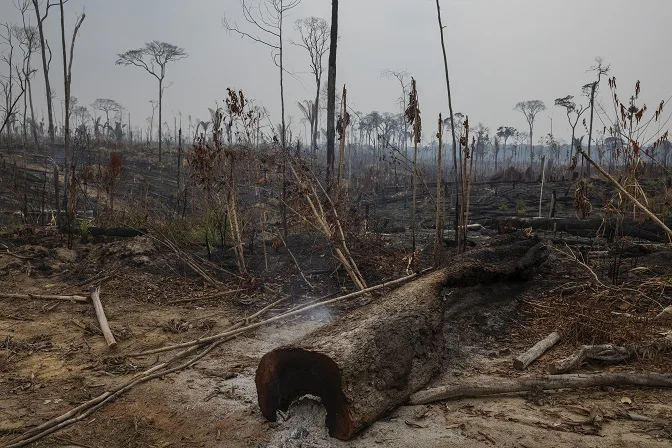 Desmatamento na Amazônia volta a bater recorde e cresce 9,5% de 2019 a 2020