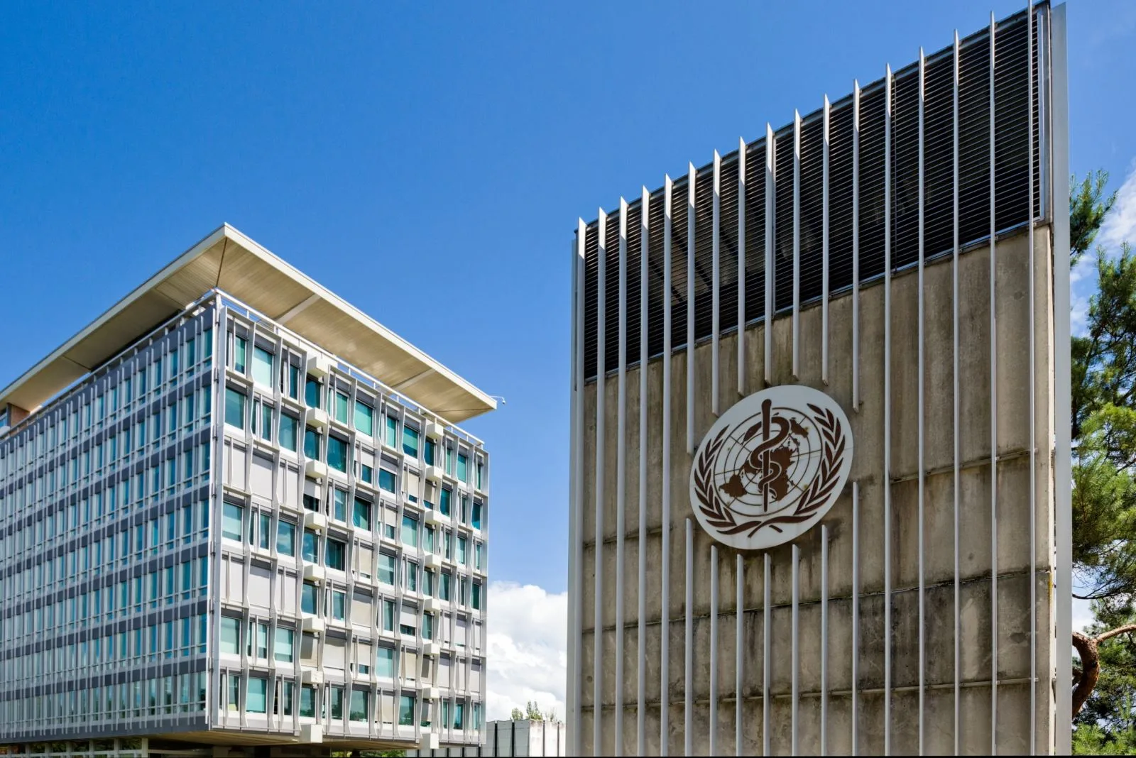 Desigualdade global na vacinação anti-Covid é grotesca, critica OMS