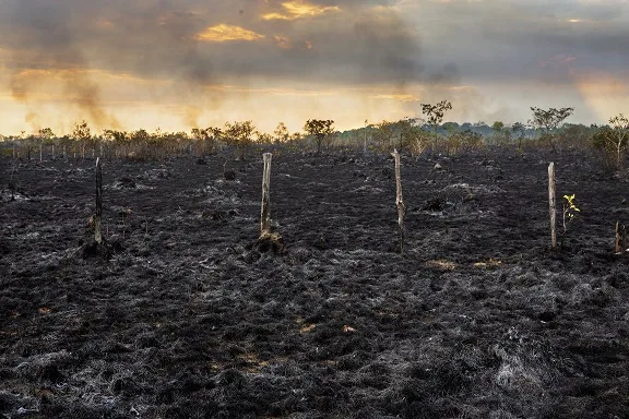 Desmatamento da Amazônia em março bate recorde e é o maior dos últimos seis anos