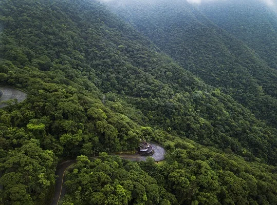 Mata Atlântica perde 13 mil hectares de floresta nativa entre 2019 e 2020, diz relatório
