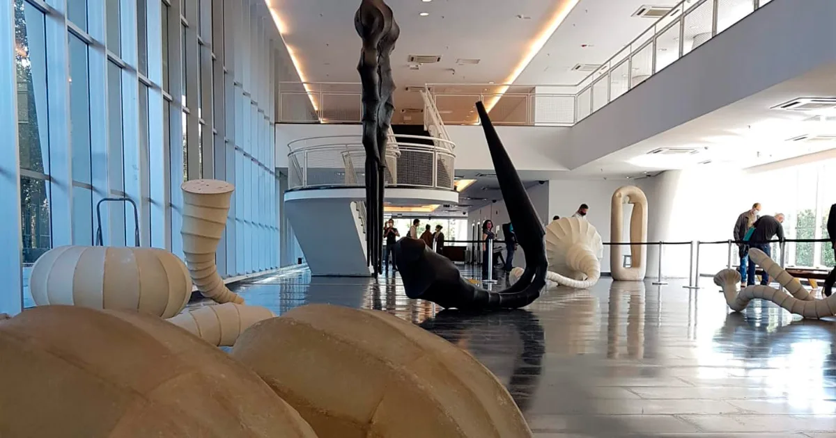 MAC-USP quer voltar ao topo da vanguarda da arte ao abrir nova exposição com MAM