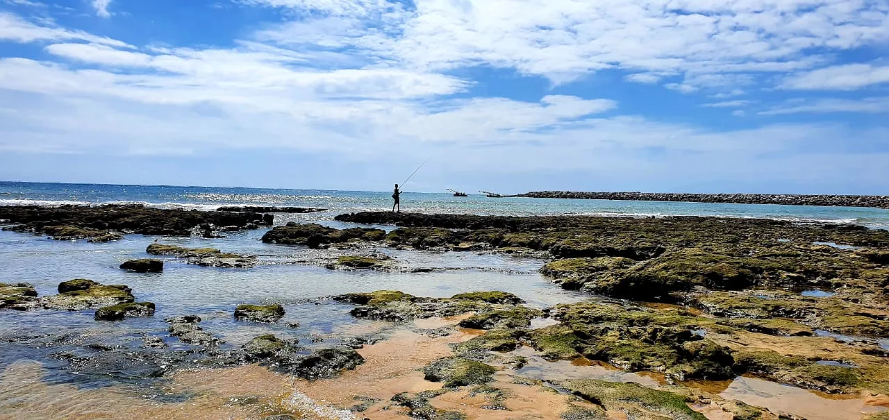 Segundo Semace, 22 das 32 praias de Fortaleza estão próprias para banho