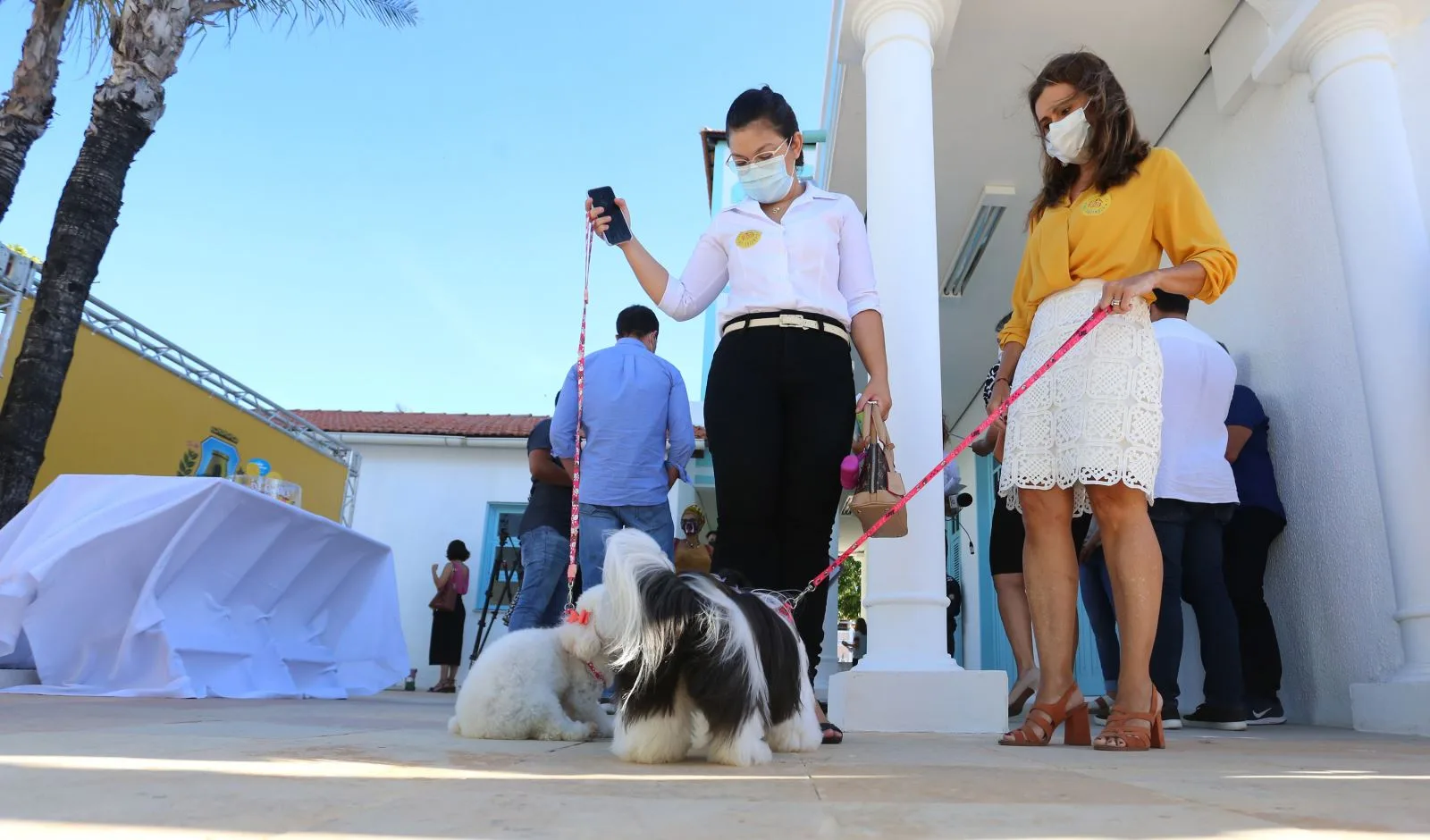 Fortaleza lança projeto Pet Friendly e estimula turismo com animais de estimação