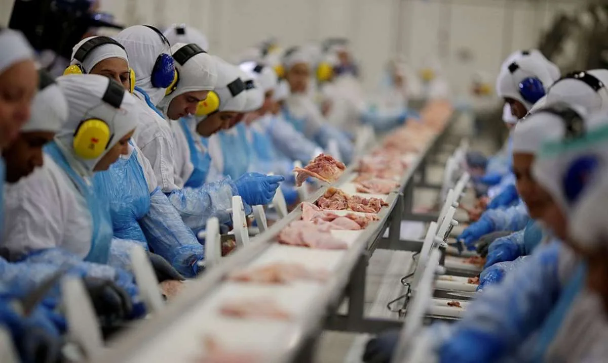 Suspensão de compras pela China pode reduzir preço da carne no Brasil