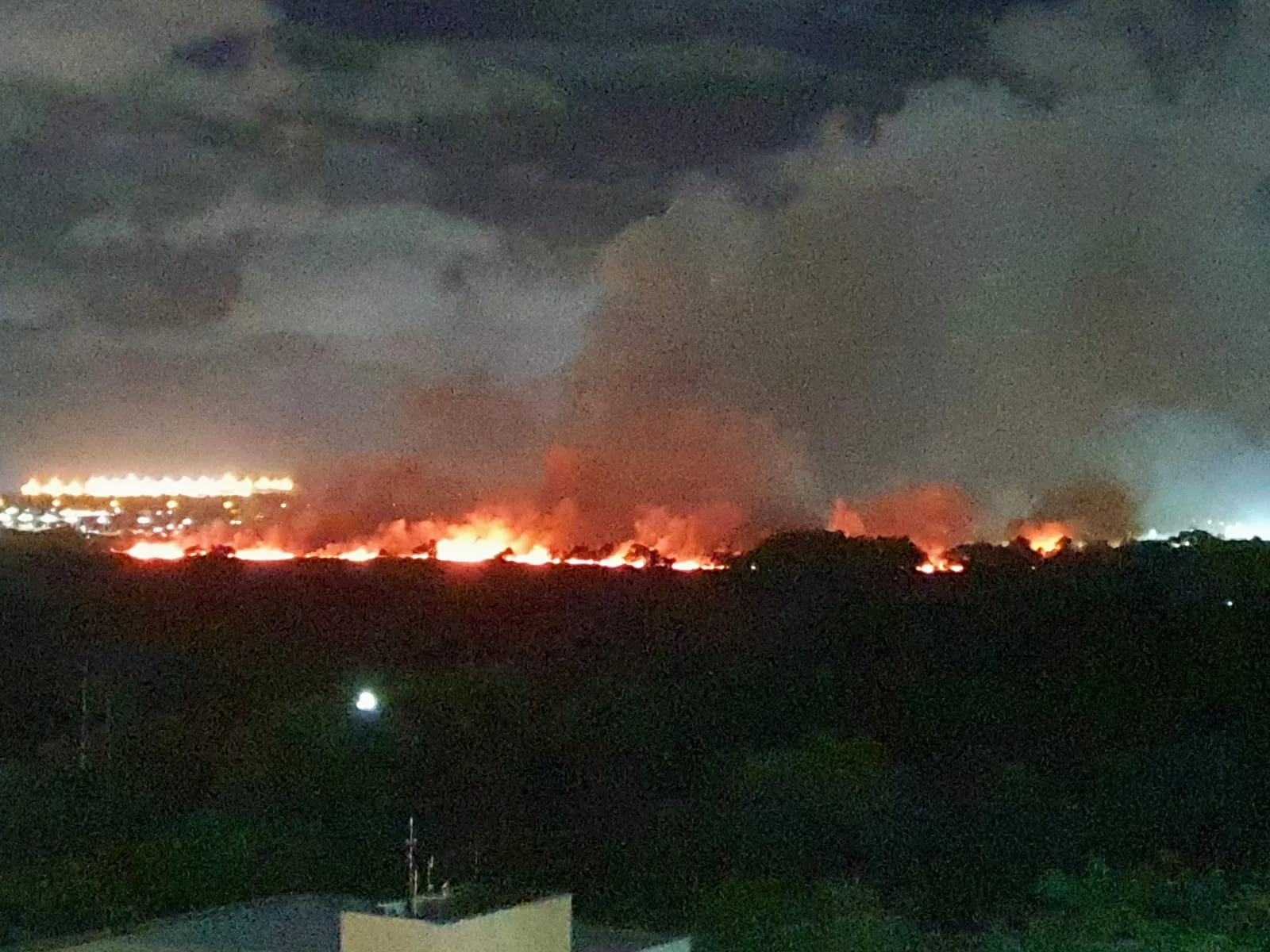 Incêndio atinge Parque do Cocó e combate segue há mais de 16 horas