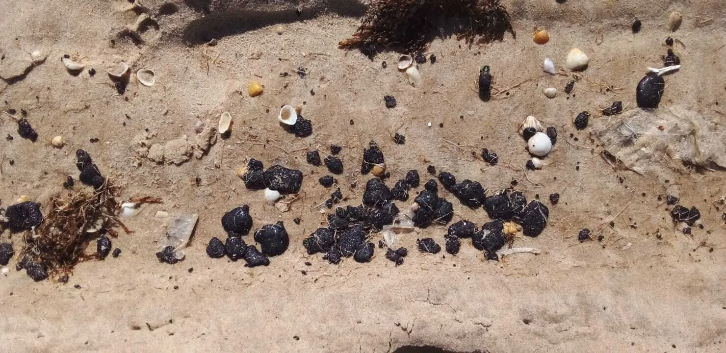 Com chegada de óleo no litoral leste, Fortaleza tem 28 das 32 impróprias para banho