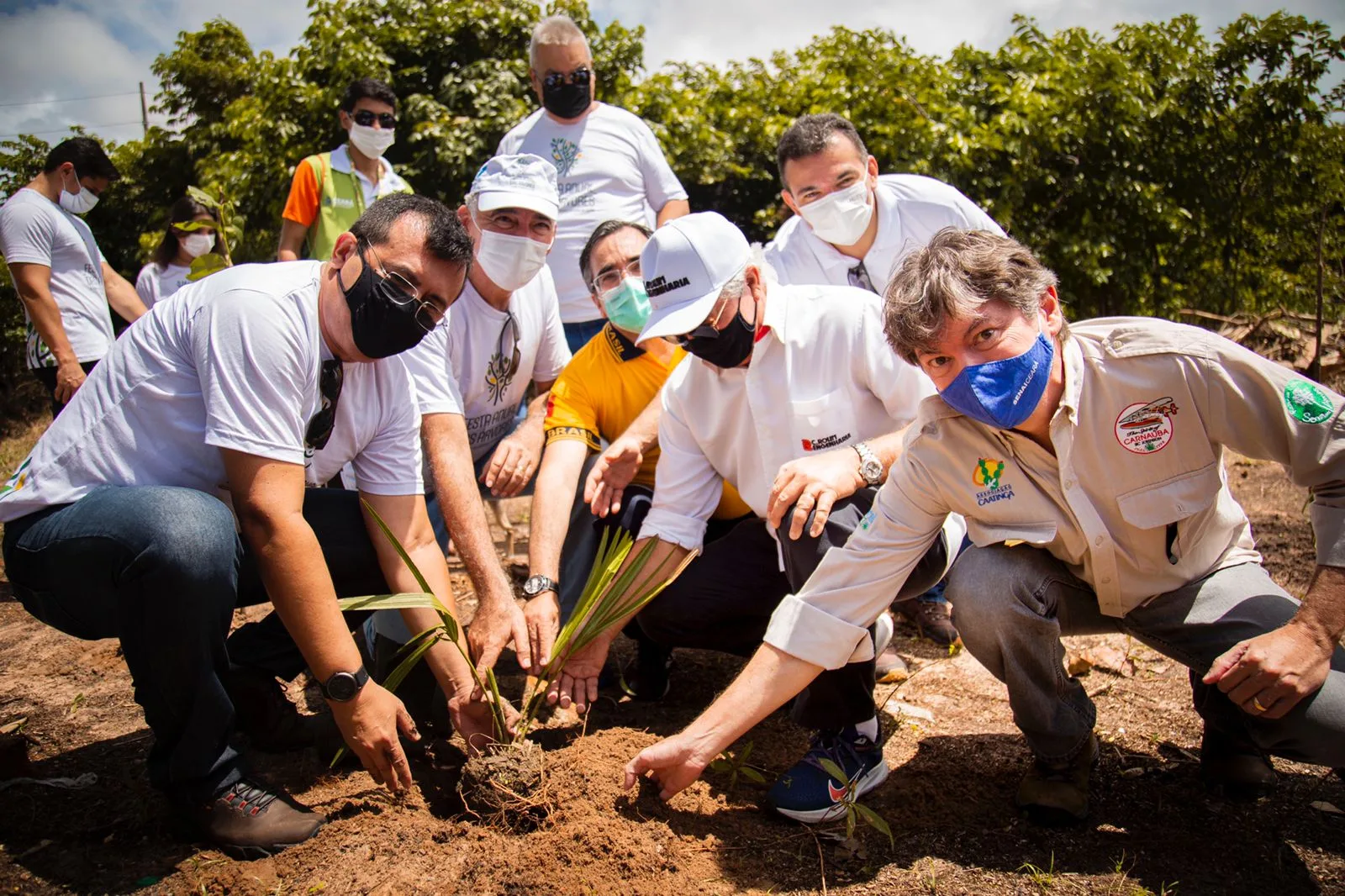 Festa Anual das Árvores 2022 reúne empresas e instituições para compromisso ambiental