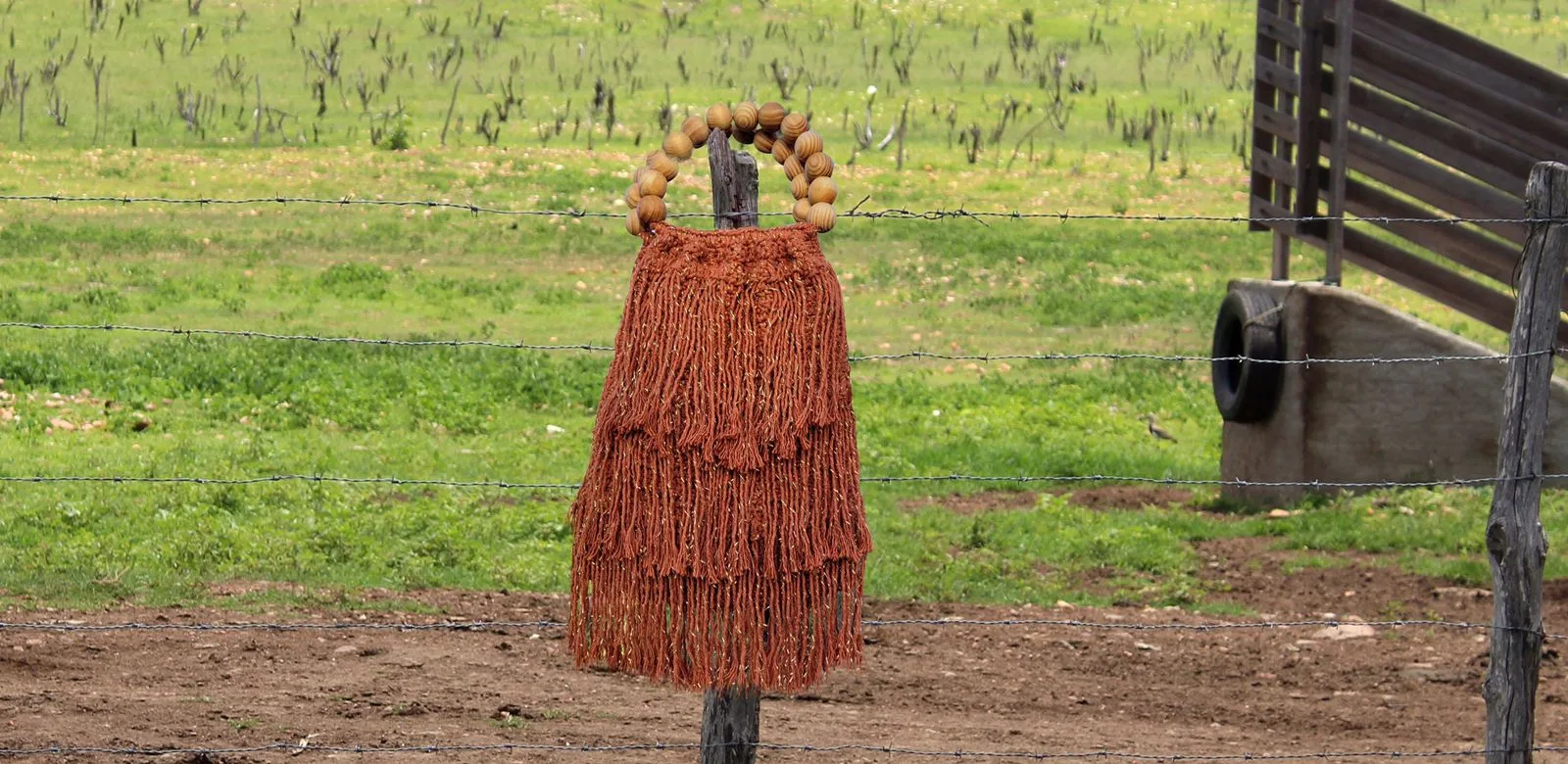Marca cearense estreia no DFB Festival com coleção inspirada nas aves de rapina