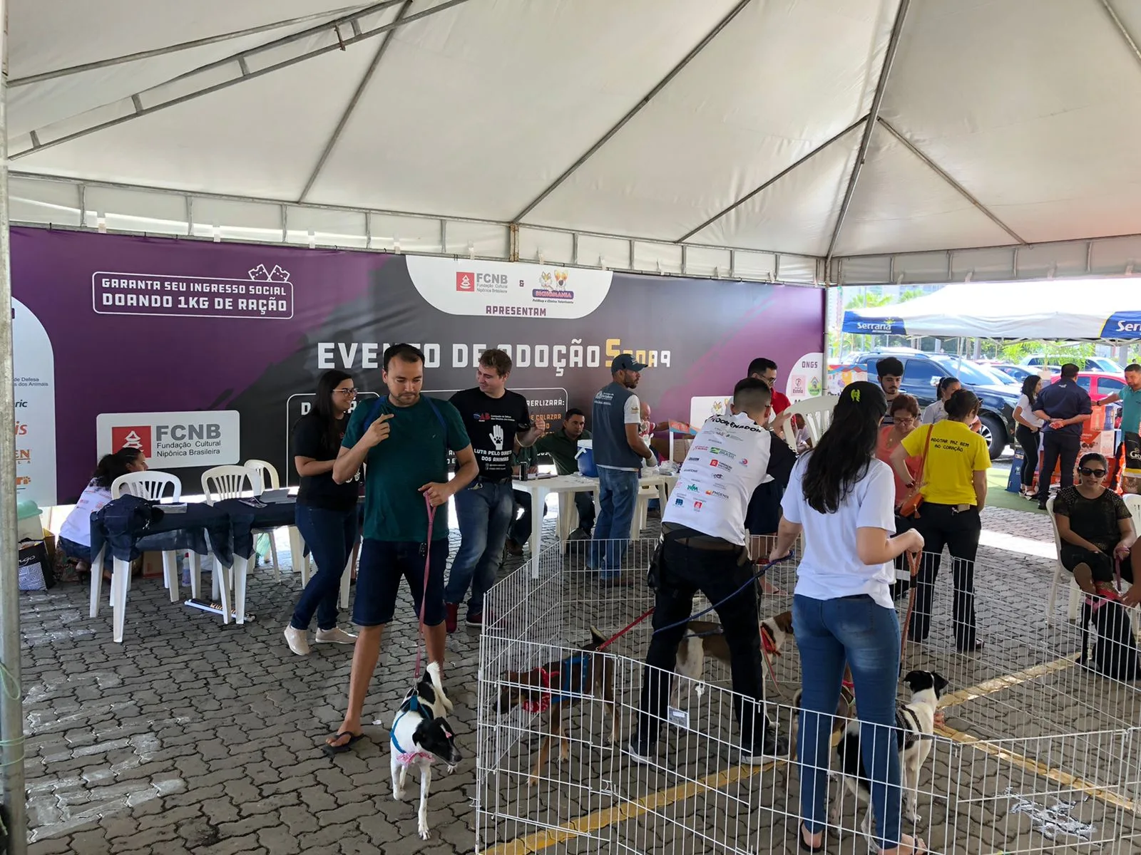 Maior Evento de Adoção do Ceará acontece no Centro de Eventos do Ceará, no Sana