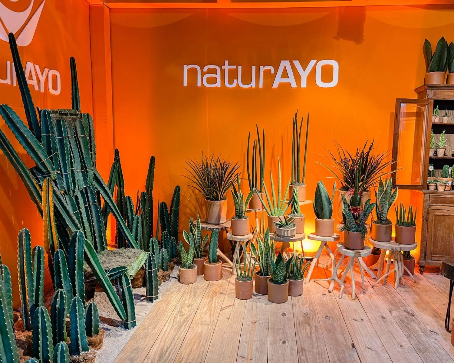 NaturAyo é destaque nas feiras Enflor e Garden Fair em São Paulo