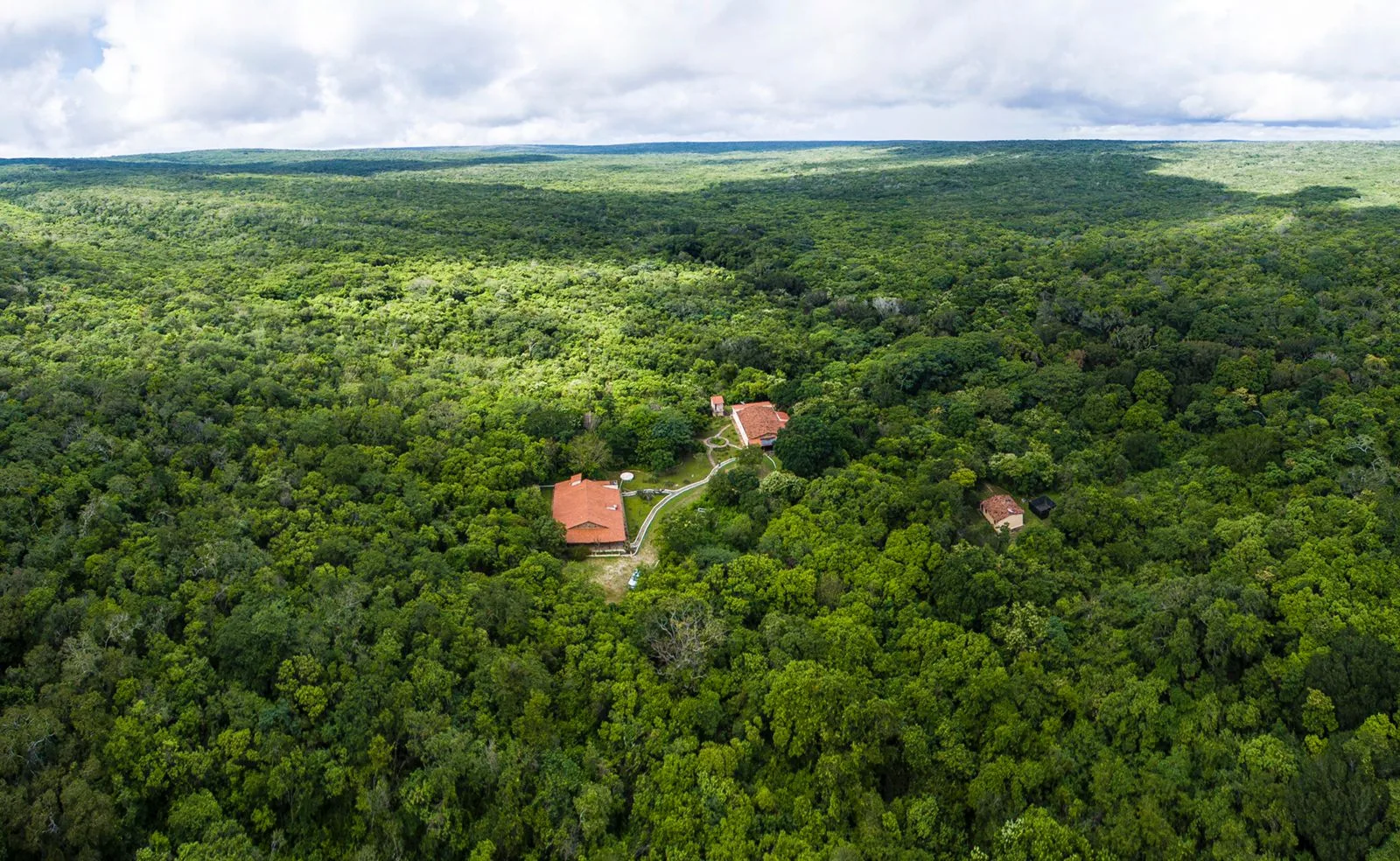 Associação Caatinga reforça importância da preservação do bioma em prol do Dia de Combate à Poluição