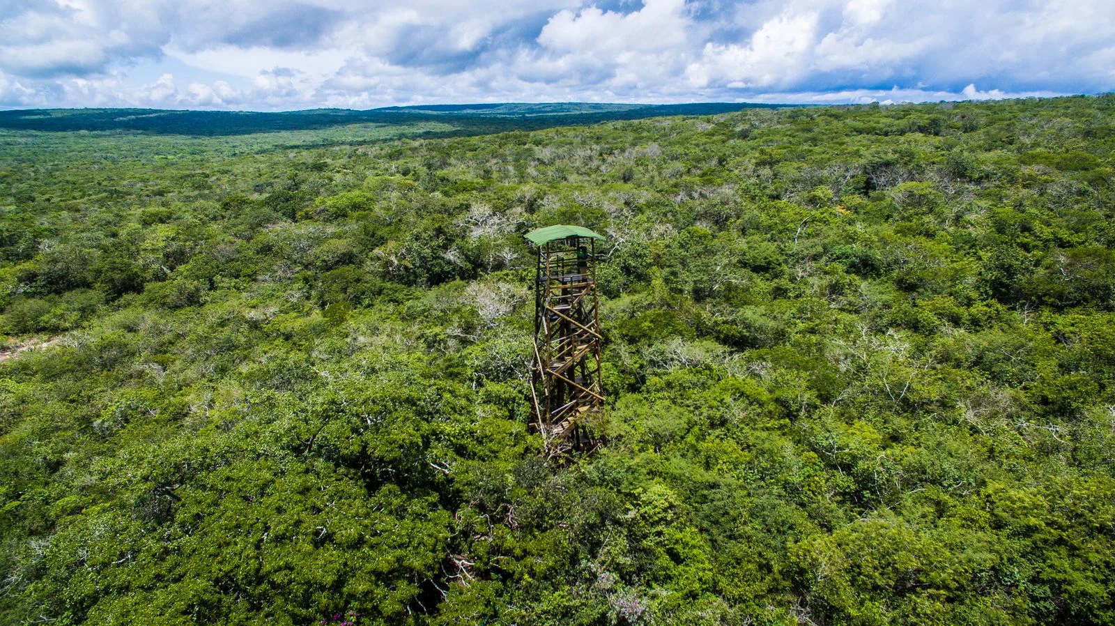 Reserva Natural Serra das Almas comemora 22 anos