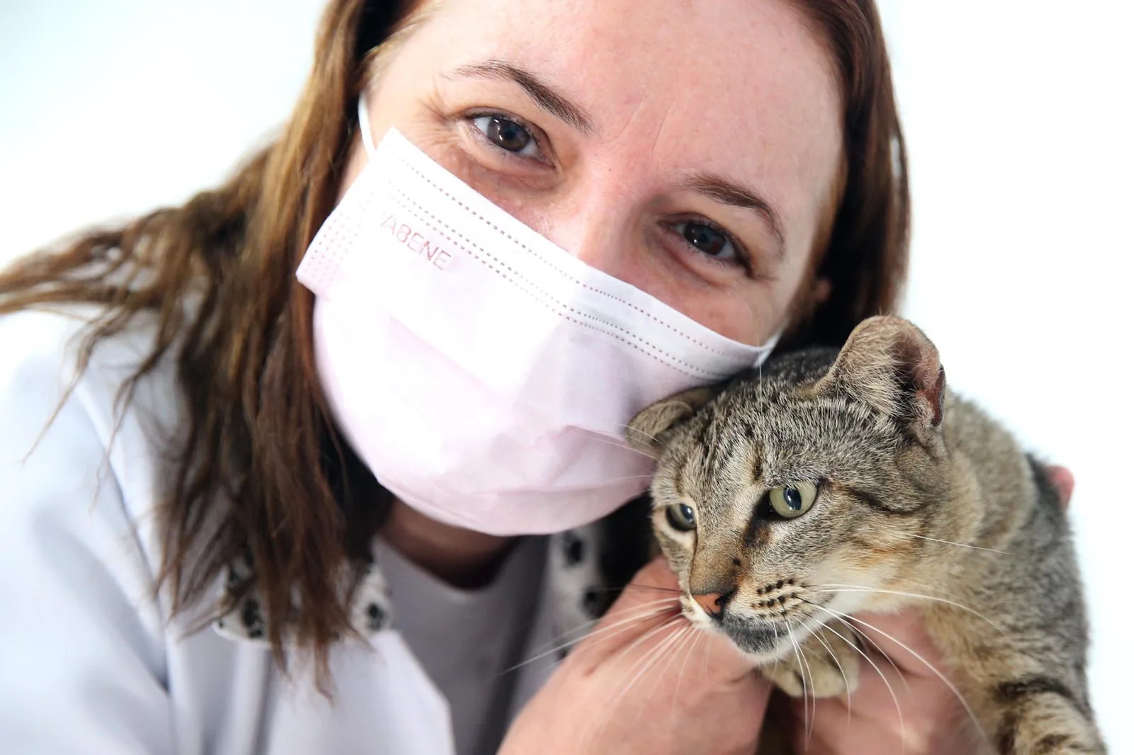 Profissionais municipais prestam serviço em comemoração ao Dia do Médico Veterinário