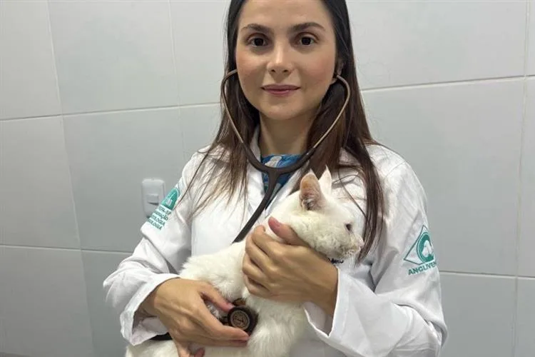 "Esporotricose: o gato não é o culpado!", por Fernanda Leite