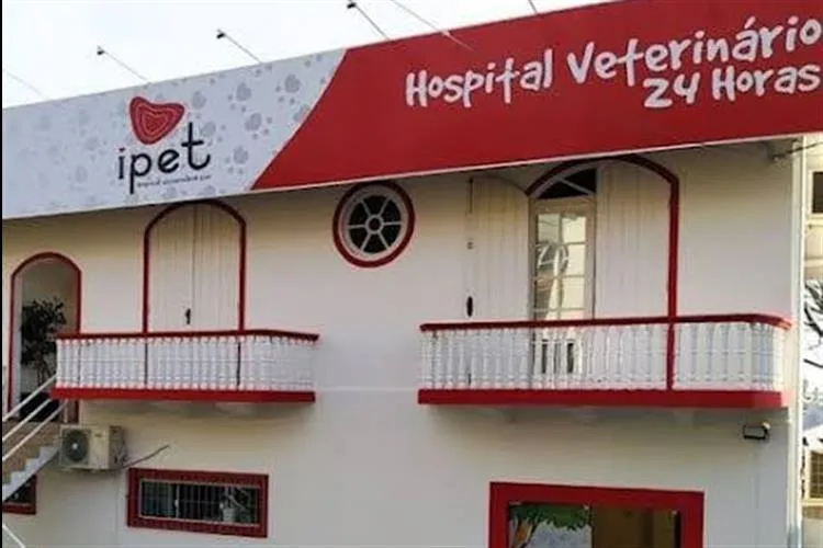 O que não pode faltar em um hospital veterinário de confiança?