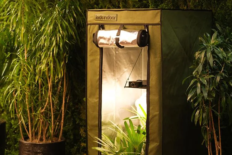 Jardinagem em Casa: Growshops Transformam o Cultivo Indoor de Plantas