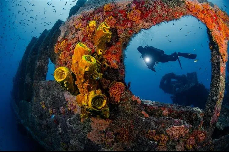 Cearense Ruver Bandeira se destaca e é finalista no Ocean Geographic Pictures of the Year 2024