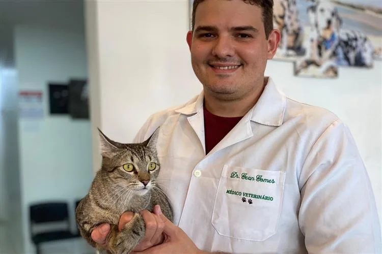 Castração de cães e gatos é fundamental em política de bem-estar animal e saúde pública