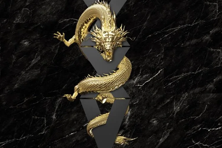 25 anos: Dragão Fashion Brasil 2024 celebra Jubileu de Prata