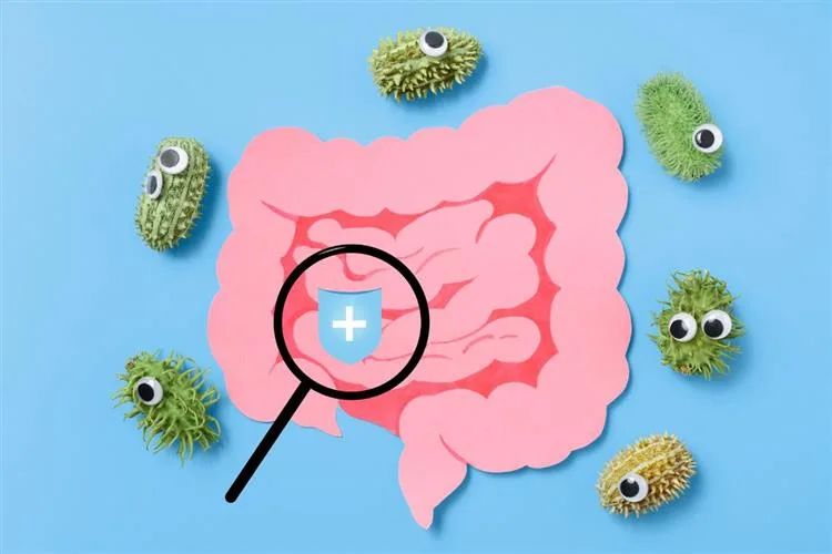 Saúde intestinal e energia: como um microbioma saudável pode elevar sua disposição