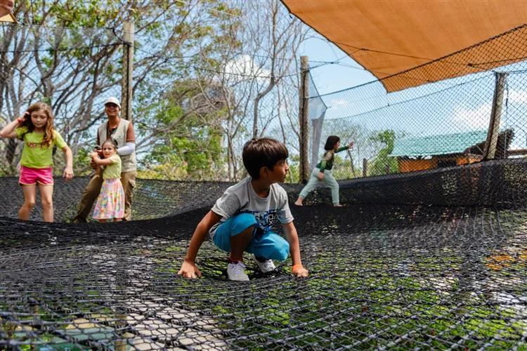 Arvorar, novo parque temático do Beach Park, terá imperdível programação no Carnaval