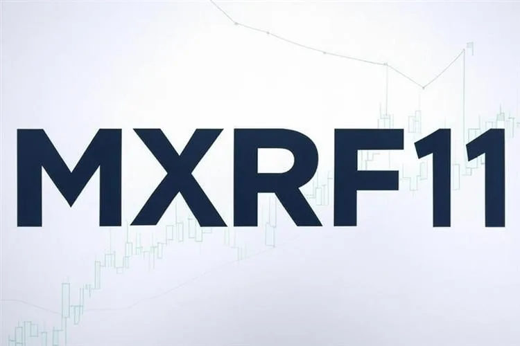 MXRF11 em foco: guia prático sobre estratégias e resultados para investidores