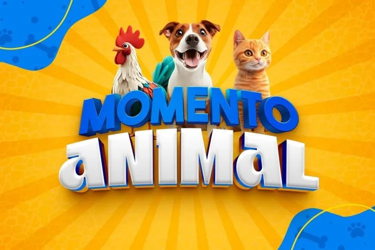 TV Cidade estreia Momento Animal neste sábado (10)