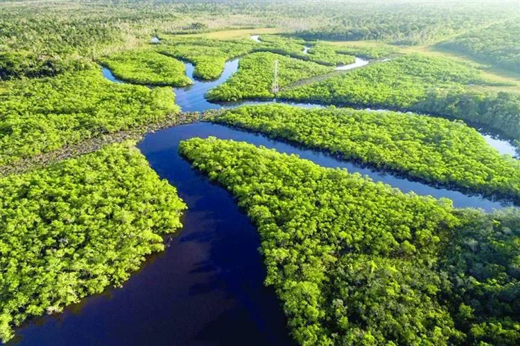 França planeja construir prisão de segurança máxima para radicais islâmicos na Amazônia