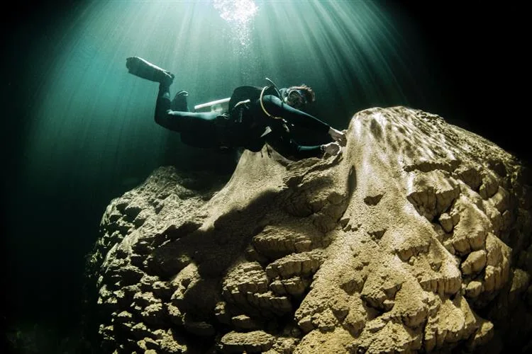 Ruver Bandeira celebra vitória no Thematic Contest 35 Awards: Diving & Freediving 2025