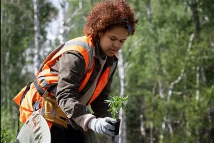 Recursos naturais: a urgência da preservação