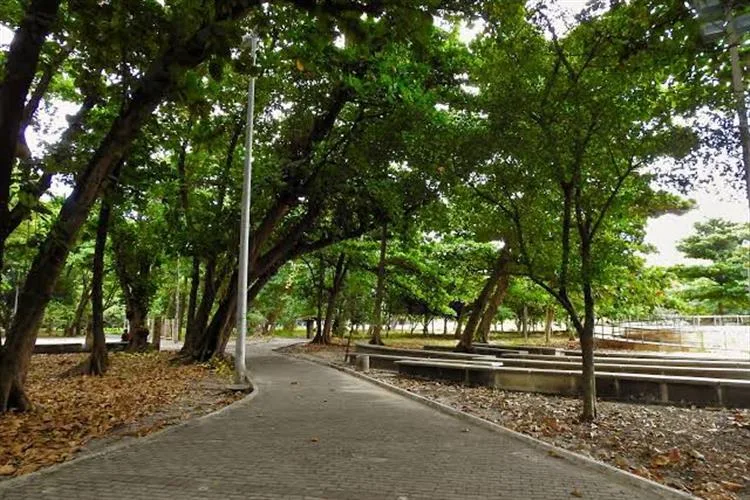 Joaquim Távora: um bairro que evoca o afeto e a amizade em Fortaleza