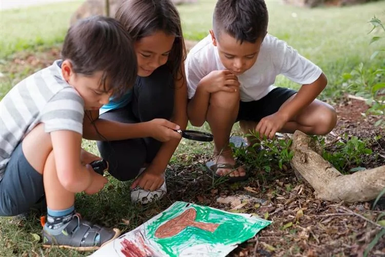 Defesa dos recursos naturais em ambiente escolar abastece esperança para o futuro