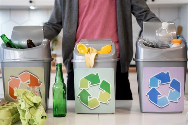 Reciclagem impacta sustentabilidade e economia local