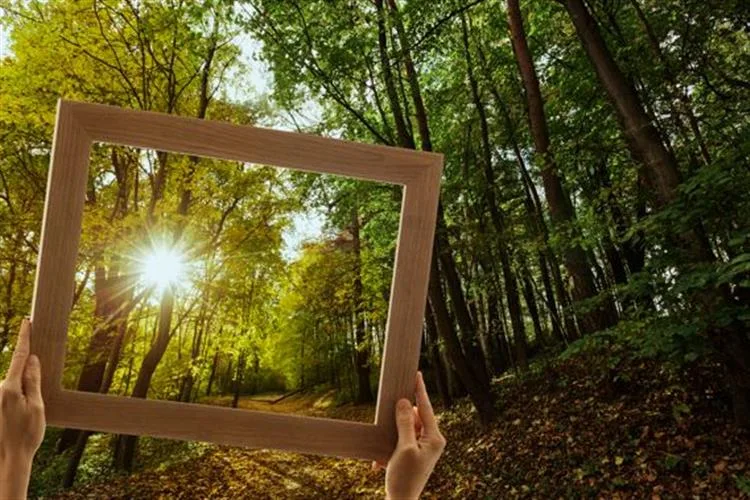 Arte e sustentabilidade: a união de forças em prol da natureza e do futuro das gerações