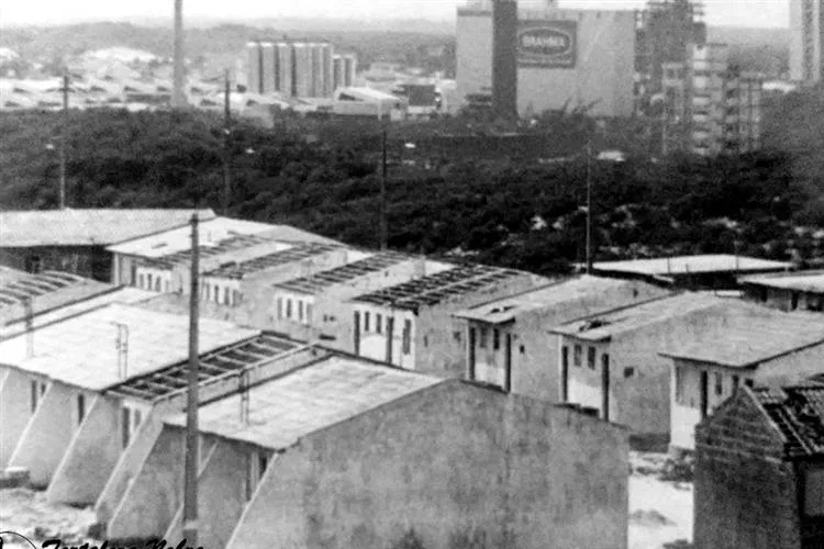Entre o verde e a modernidade, Papicu se destaca com seu charme em Fortaleza
