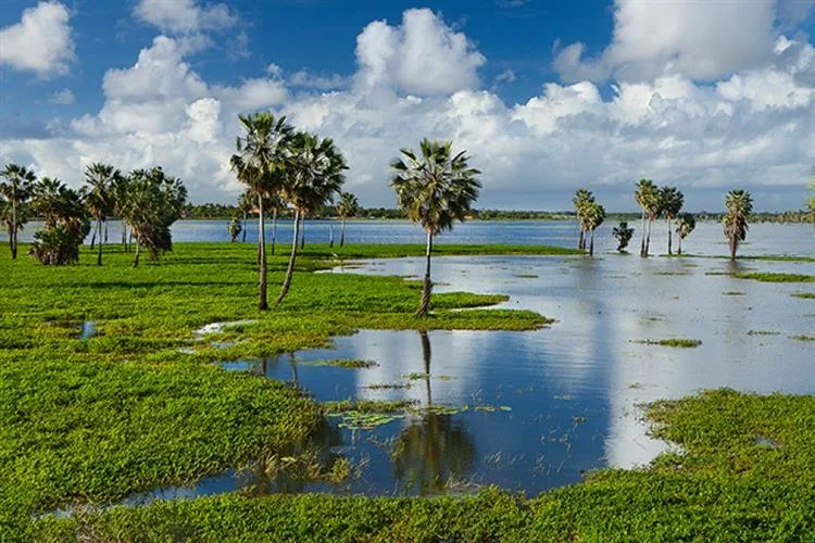 Lagoa Redonda: o charme de Fortaleza em 300 anos