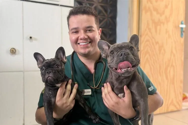Unimed Soluções lança plano veterinário Tutor&Pet com atendimento 24h