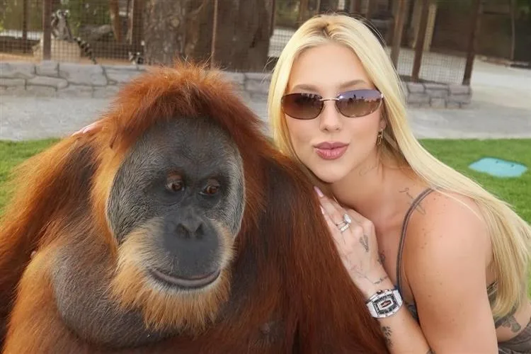 Virginia Fonseca se desculpa após beijar macaco na boca