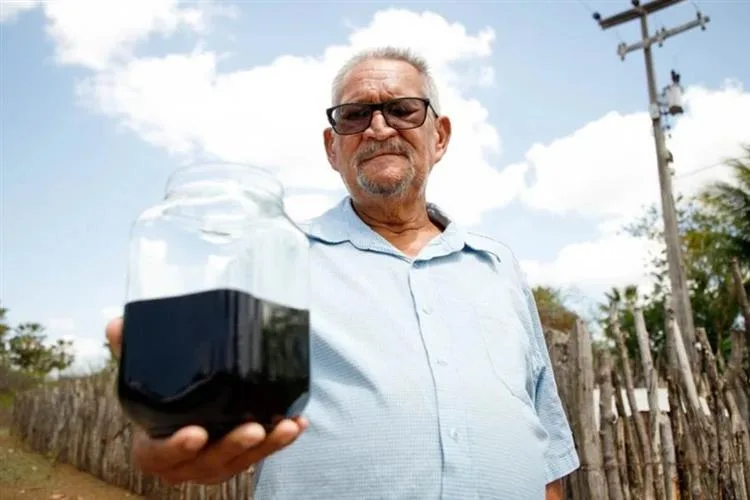 Agricultor cearense pode ficar milionário após encontrar petróleo em seu terreno? Entenda a situação